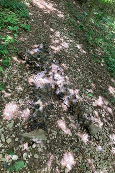 "Taiga" Camouflage Set - photo 10588