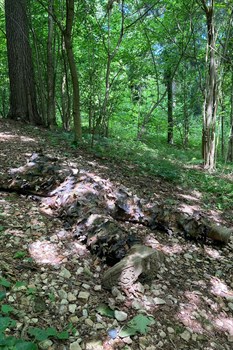 "Taiga" Camouflage Set - photo 10589