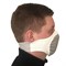 "Panacea Type-A" Protective Mask - photo 6709