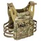 "Falcon" Plate Carrier - photo 7658