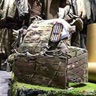 "Wolfram" Plate Carrier | Review "Wolfram" Plate Carrier | Review